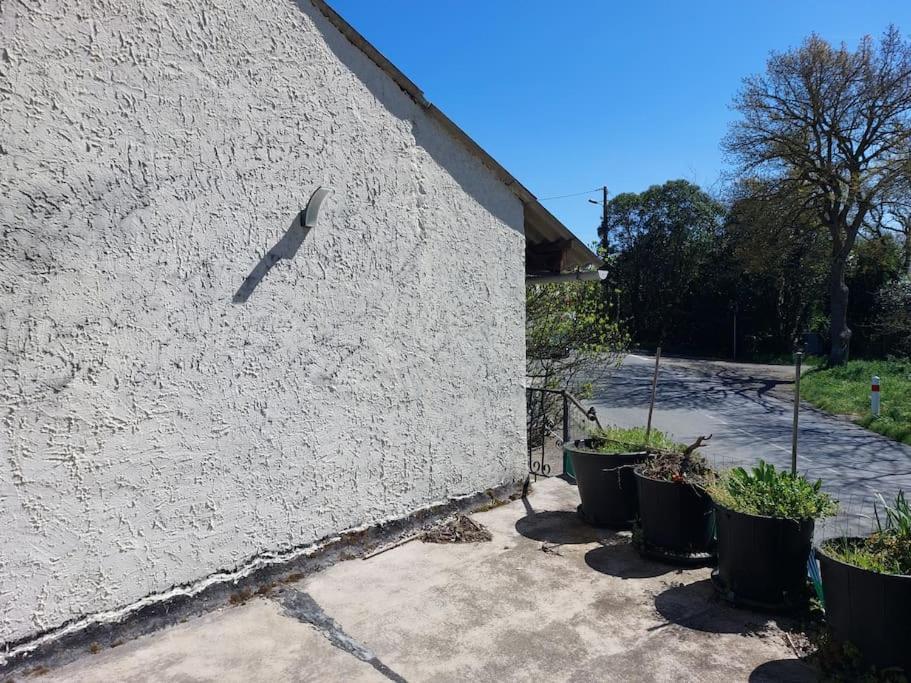 Studio Renove Au Bord Du Gers Daire Lectoure Dış mekan fotoğraf